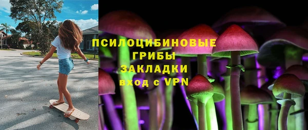 первитин Арсеньев